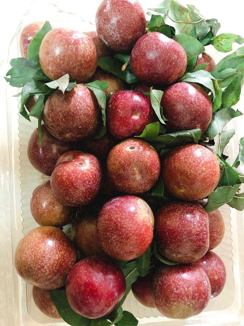 man doi pu nhi ngot nhu cherry, gia dat ngang nho my van "chay" hang hinh 10