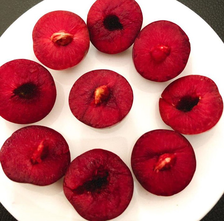 man doi pu nhi ngot nhu cherry, gia dat ngang nho my van "chay" hang hinh 5