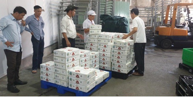 nhieu trai ngon cua viet nam "lot mat xanh" cua nguoi tieu dung ngoai hinh 2