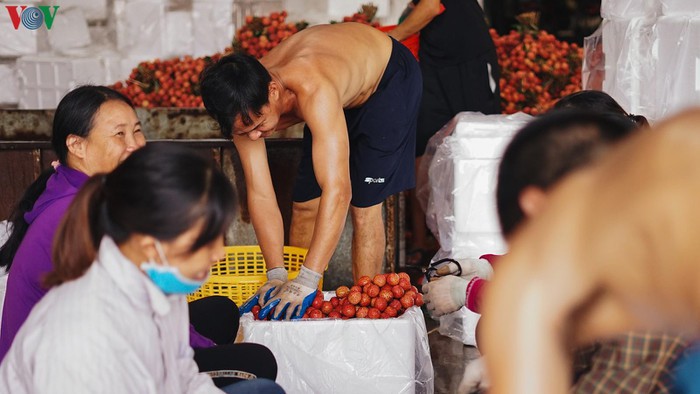 nhieu trai ngon cua viet nam "lot mat xanh" cua nguoi tieu dung ngoai hinh 8