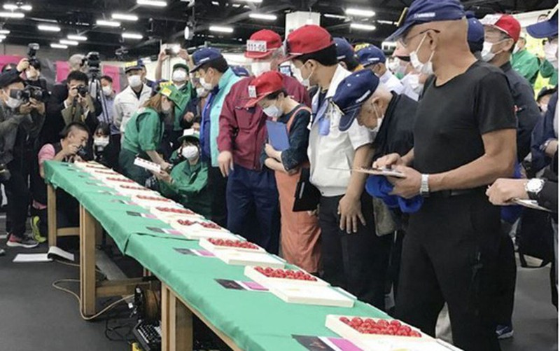 cherry nhat gia sieu dat hon 4 trieu dong/qua co gi dac biet? hinh 1