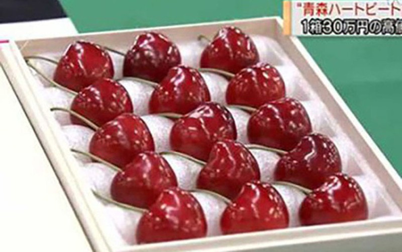 cherry nhat gia sieu dat hon 4 trieu dong/qua co gi dac biet? hinh 4
