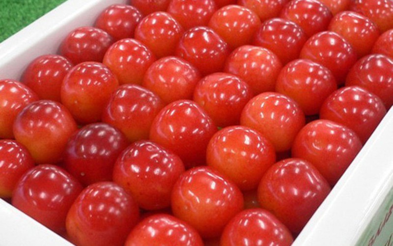 cherry nhat gia sieu dat hon 4 trieu dong/qua co gi dac biet? hinh 5