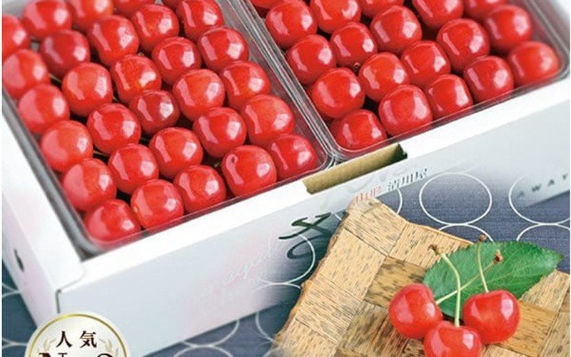 cherry nhat gia sieu dat hon 4 trieu dong/qua co gi dac biet? hinh 9