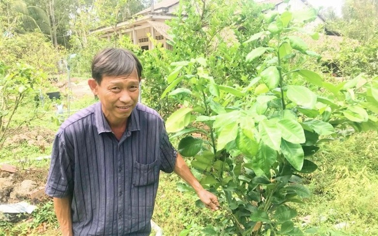giong buoi la mang ten ruby xuat hien o mien tay hinh 4