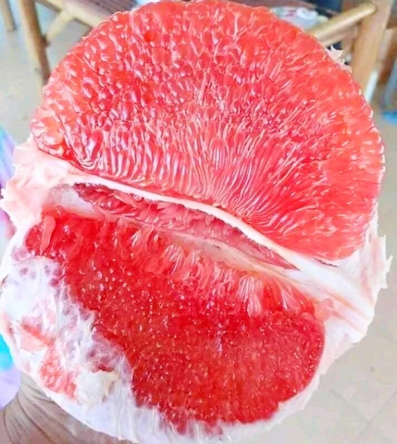 giong buoi la mang ten ruby xuat hien o mien tay hinh 11