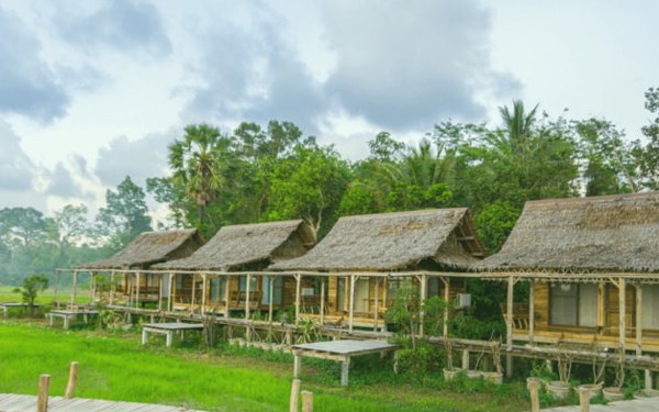 farmstay no ro, thu tuong yeu cau tranh cac bien tuong tieu cuc hinh 1