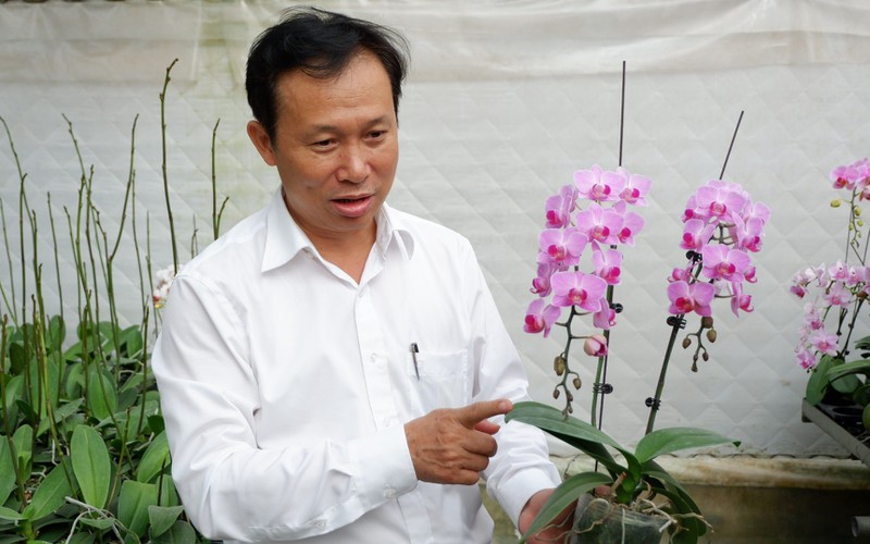 bi quyet nhan dien lan dot bien dang "khuynh dao" thi truong hinh 8