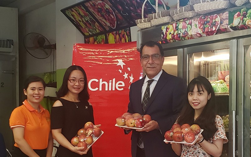 lo hang tao chile dau tien co mat tai thi truong viet nam hinh 1