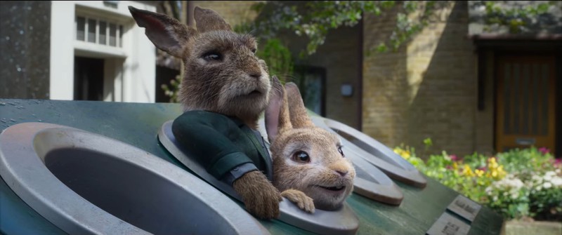 tho peter tro lai trong phim hoat hinh noi tieng peter rabbit 2 hinh 1