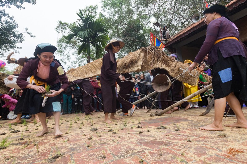 man trinh dien thu vi treu rom, bo ra hinh 7