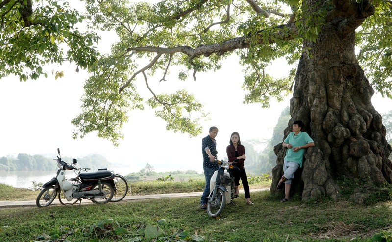 co gai nha nguoi ta va thoi vang bong cua phim de tai nong thon hinh 10