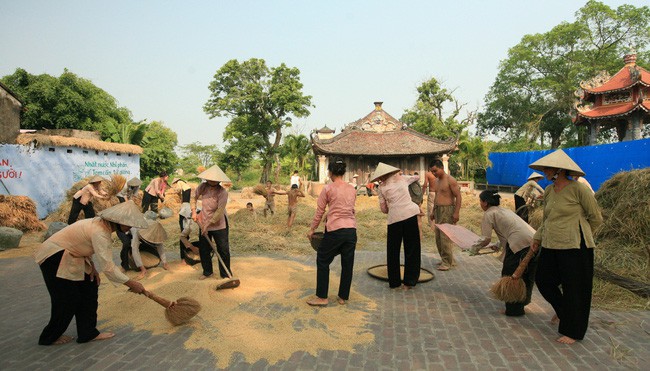 co gai nha nguoi ta va thoi vang bong cua phim de tai nong thon hinh 9