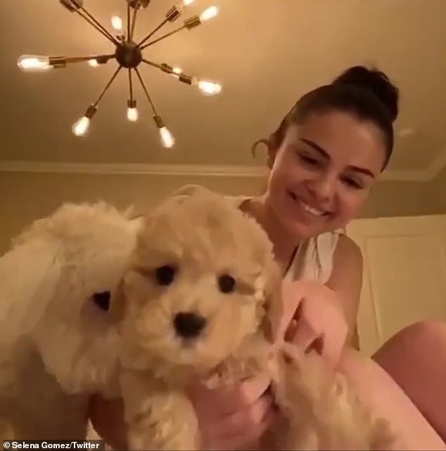 selena gomez nhan nuoi them cun cung khi tu cach ly tai nha vi covid-19 hinh 1