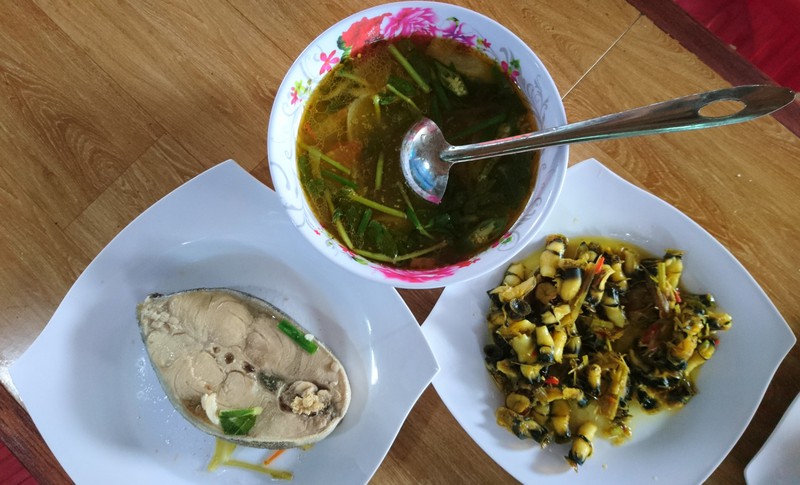 ky su ly son khuc bai choi mua ha hinh 2