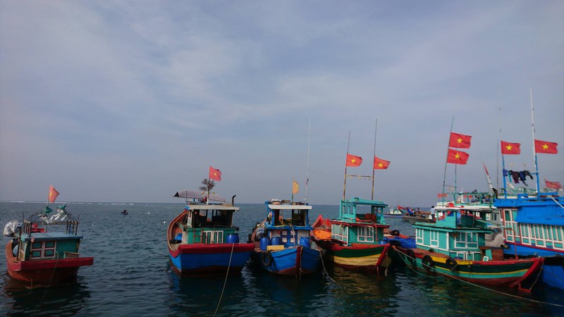 ky su ly son khuc bai choi mua ha hinh 5