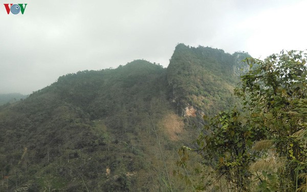 tri an va ket noi nhung nguoi linh vi xuyen nam xua hinh 3