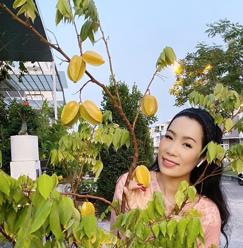 khu vuon xanh "muot mat" trong biet thu 200m2 cua trinh kim chi hinh 8