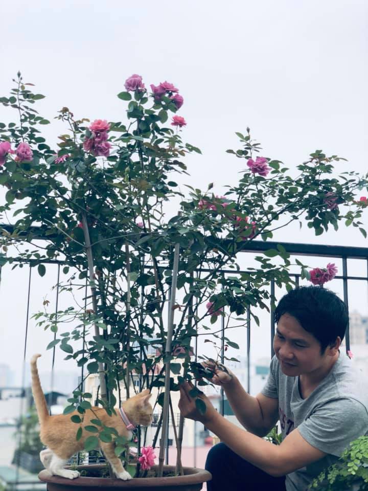 trong tan keu goi quyen gop gao cho nguoi ngheo kho vi dich covid-19 hinh 1
