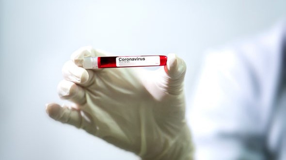 who tai khang dinh virus sars-cov-2 co nguon goc tu nhien​ hinh 1