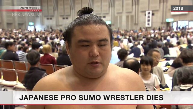 vo si sumo tre tuoi cua nhat ban qua doi vi covid-19 hinh 1
