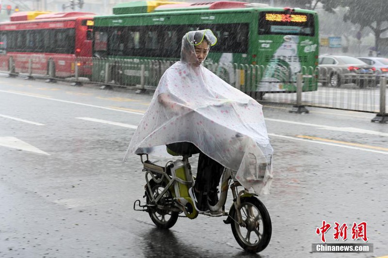 mua lon tai trung quoc lam 9 nguoi thiet mang hinh 2