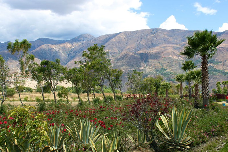 ve dep ky bi va buon tham cua yungay - thi tran bi chon vui o peru hinh 1