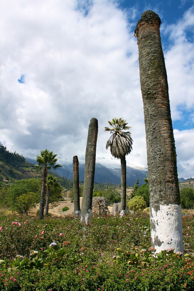 ve dep ky bi va buon tham cua yungay - thi tran bi chon vui o peru hinh 4