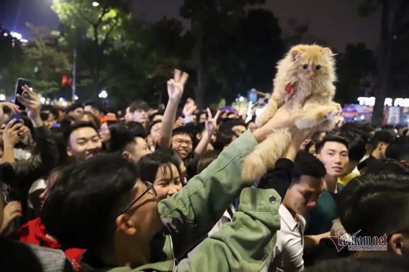chen nhau don nam moi, thieu nu ngat xiu ben vuon hoa ha noi hinh 5