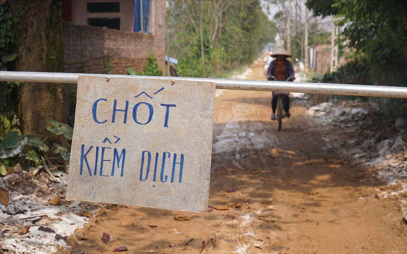 ha noi khong de dich cum gia cam o chuong my lay lan dien rong hinh 1