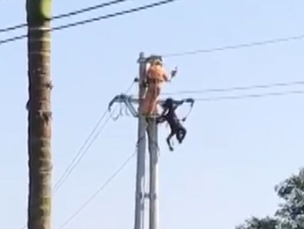 nghi van nhan vien dien luc dang keo dien thi bi dien giat tu vong hinh 1