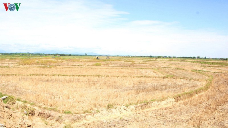 quang tri, phu yen thuc hien cac giai phap chong han  hinh 1