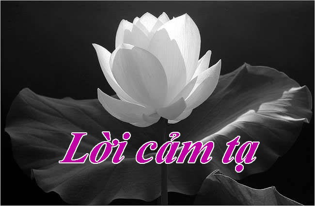loi cam on cua btc le tang va gia dinh ba bui thi hoat  hinh 1