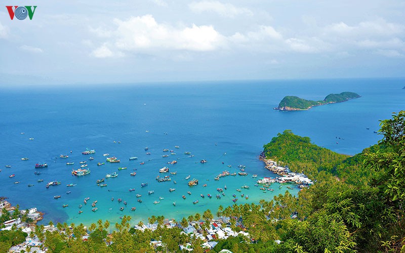 den nam du, khien ban thay phieu bong hinh 1