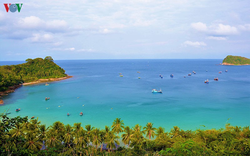 den nam du, khien ban thay phieu bong hinh 4