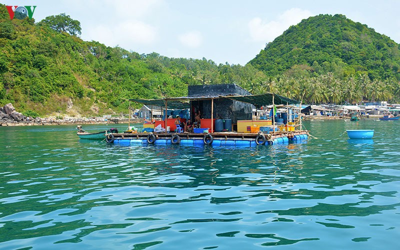 den nam du, khien ban thay phieu bong hinh 5