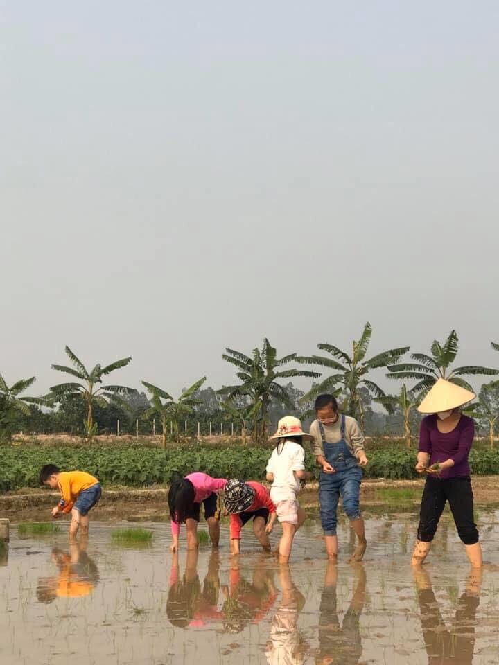 handetour kich hoat chuong trinh "nguoi viet di du lich viet" 2020 hinh 5