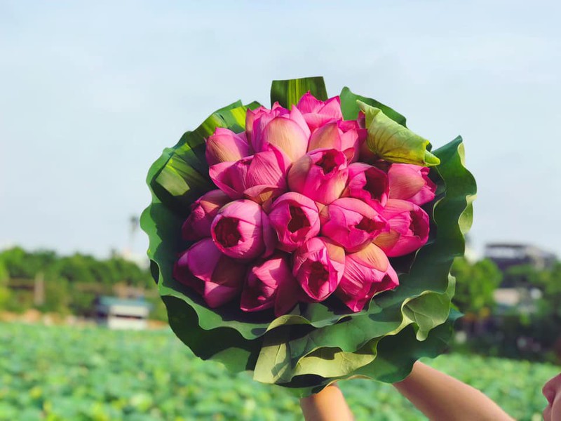 mua cua nhung nguoi yeu sen hinh 15
