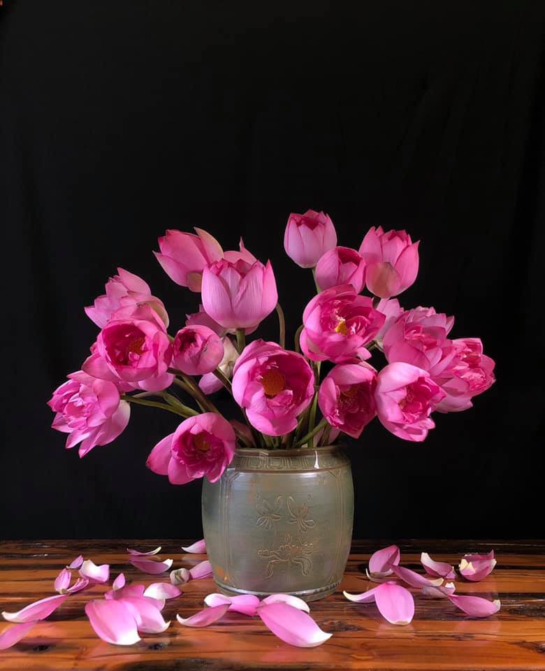 mua cua nhung nguoi yeu sen hinh 7