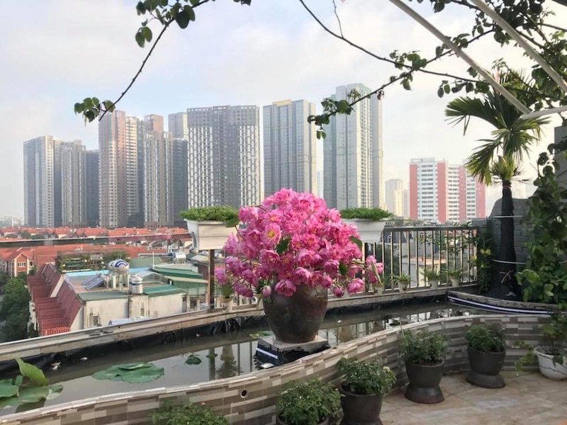 mua cua nhung nguoi yeu sen hinh 3