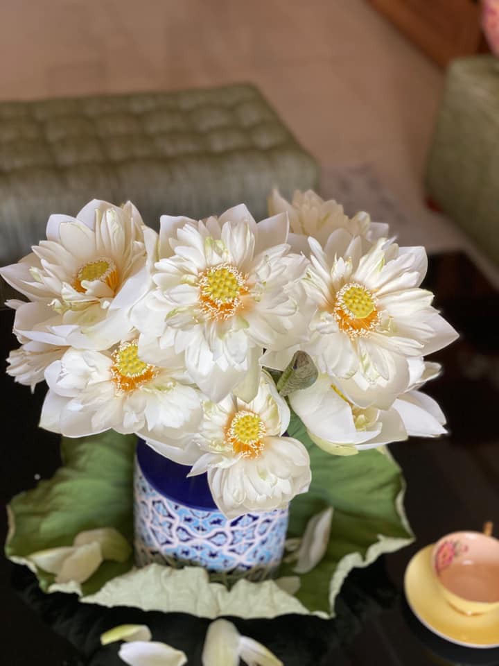 mua cua nhung nguoi yeu sen hinh 11