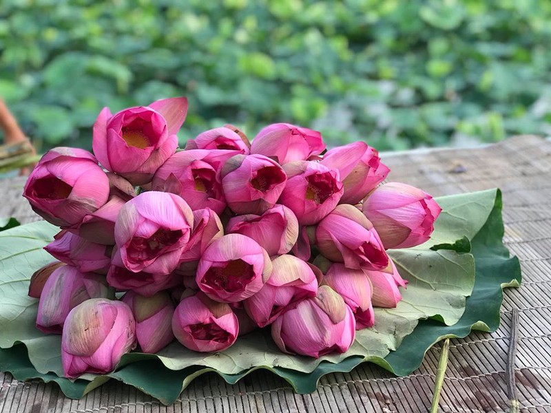 mua cua nhung nguoi yeu sen hinh 14