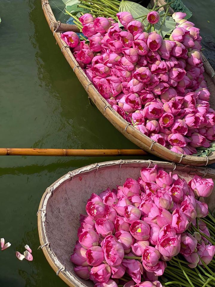 mua cua nhung nguoi yeu sen hinh 1
