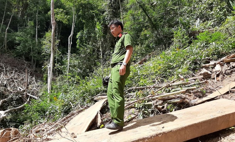 khoi to 5 doi tuong pha rung dac dung hinh 2
