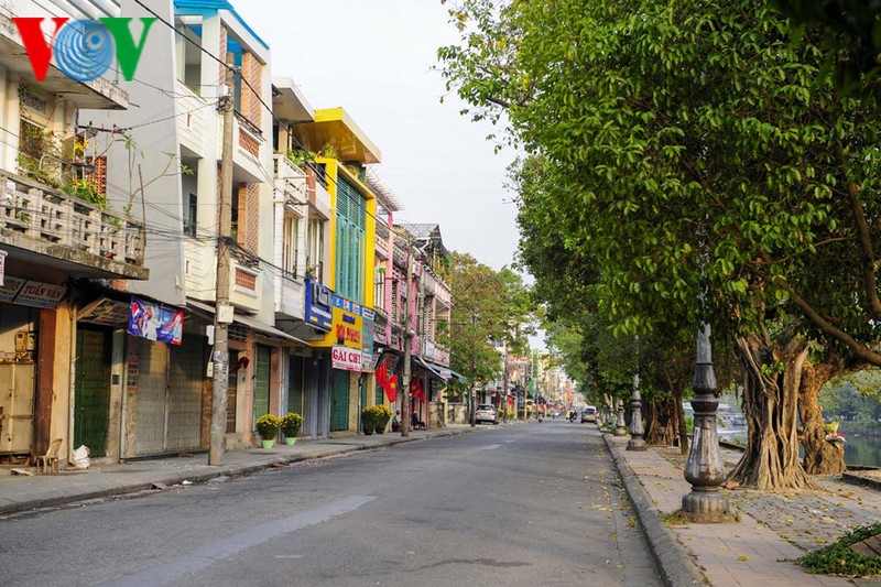 co do hue tho mong sang mung 1 tet hinh 7