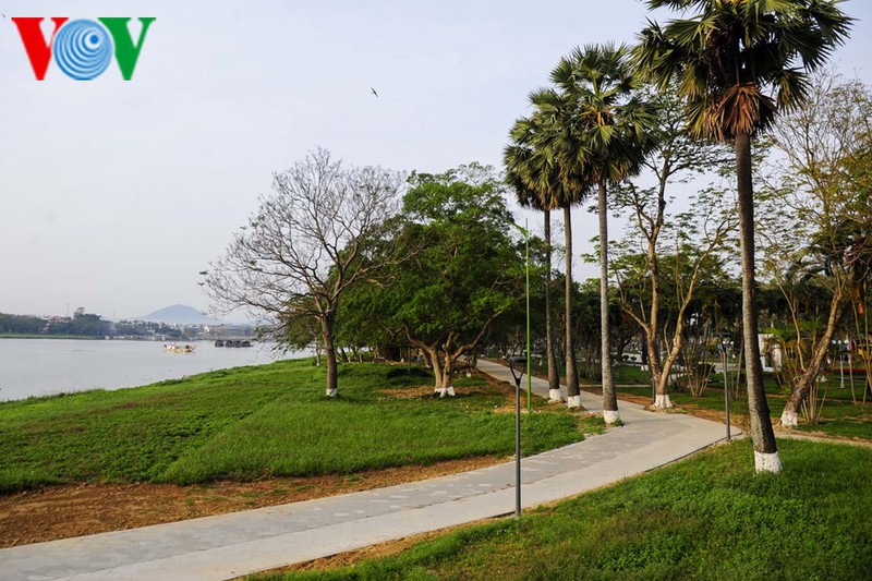 co do hue tho mong sang mung 1 tet hinh 6