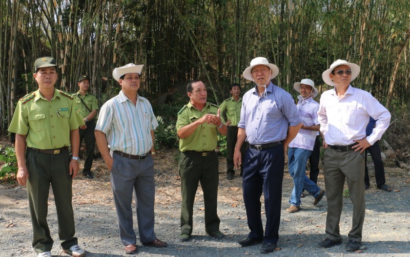 nhieu dien tich rung an giang dang o muc bao dong chay cap 5 hinh 1