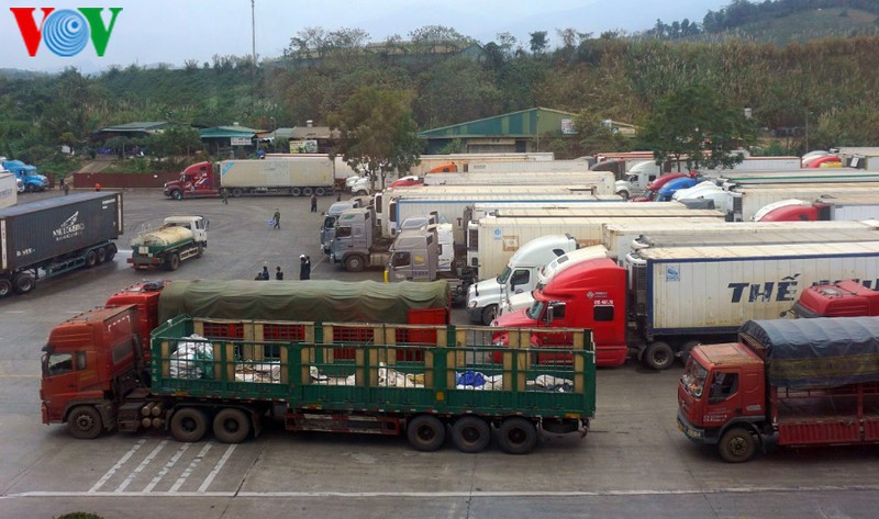 nong san un un qua cua khau lao cai sang trung quoc de... xep hang hinh 2