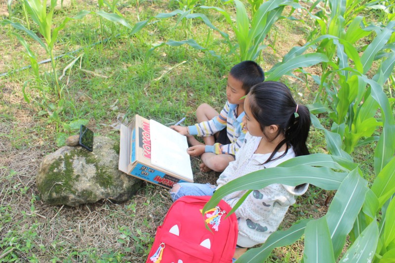 "dang ne" voi ty le hoc truc tuyen o mot truong tieu hoc lao cai hinh 3