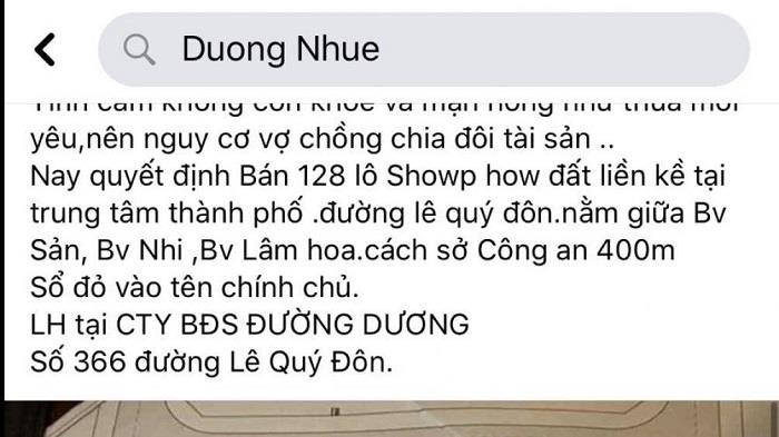 manh khoe dau gia dat cua vo chong duong duong  hinh 1